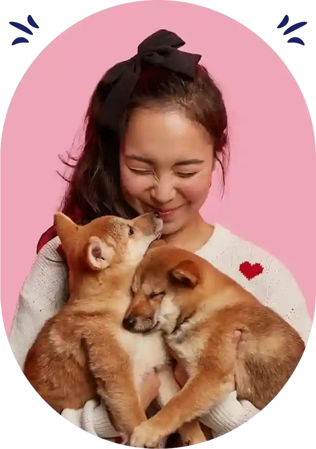 my bliss pet