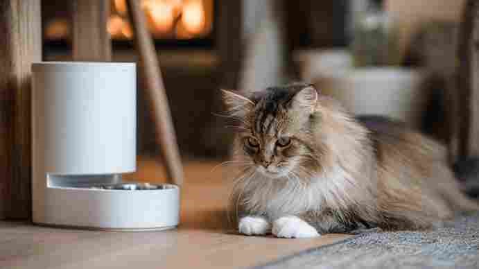 PETKIT Automatic Cat Feeder