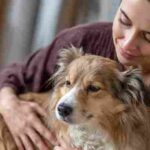 Owner worried about spayed dog looking pregnant